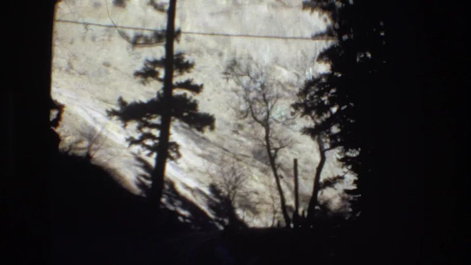 1973 Colorado 8mm frame showing a snowy slope behind silhouetted pine and bare deciduous trees, with strong exposure contrast and roadside darkness.
