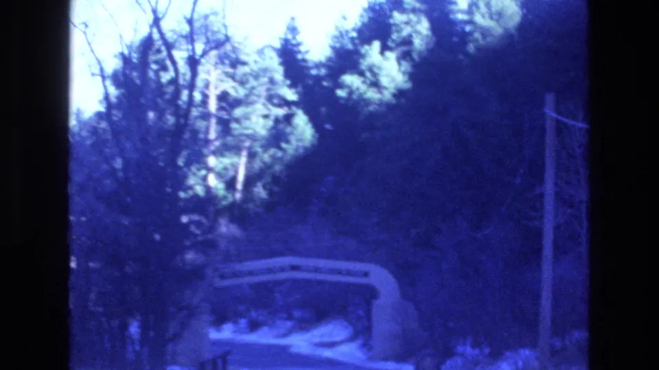 Blue-tinted 1973 Colorado 8mm frame looking down a forest road bordered by evergreens, with a small arched roadside structure visible in the distance.