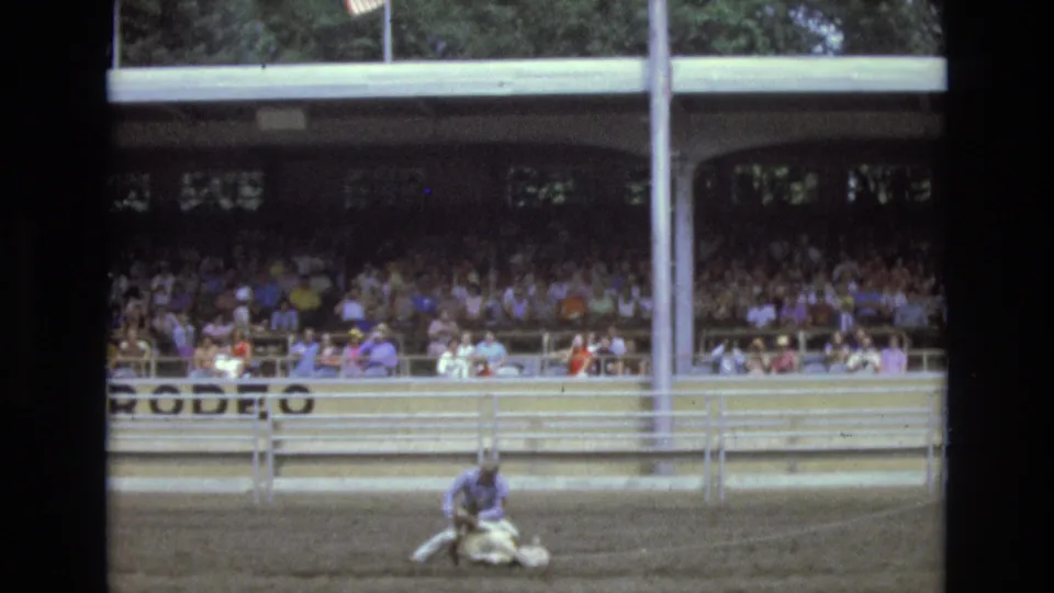 A roper in a light blue shirt works with a small calf in the dirt arena as the covered Colorado Springs rodeo grandstand fills the background.