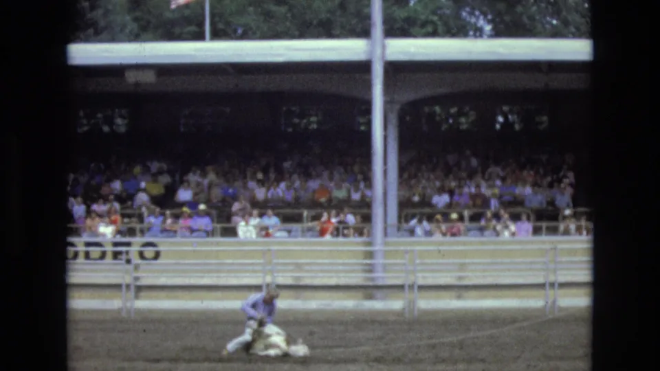 The calf roping sequence continues with the roper kneeling near the calf while spectators watch from the shaded bleachers behind the rail.