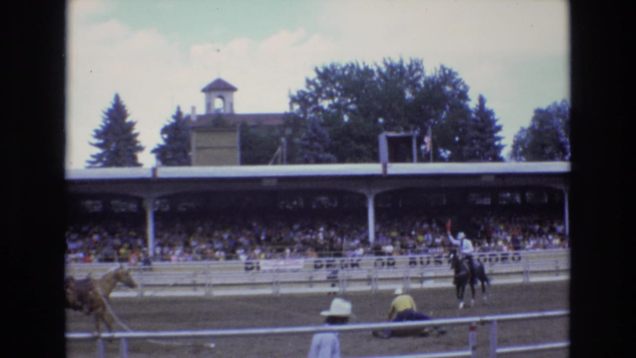 Rodeo arena action with a rider, livestock, and spectators watching from the grandstand.