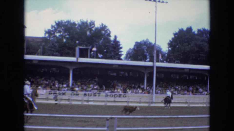 1973 Colorado Springs rodeo footage shows a mounted cowboy pursuing a calf in front of covered spectator bleachers and arena fencing.