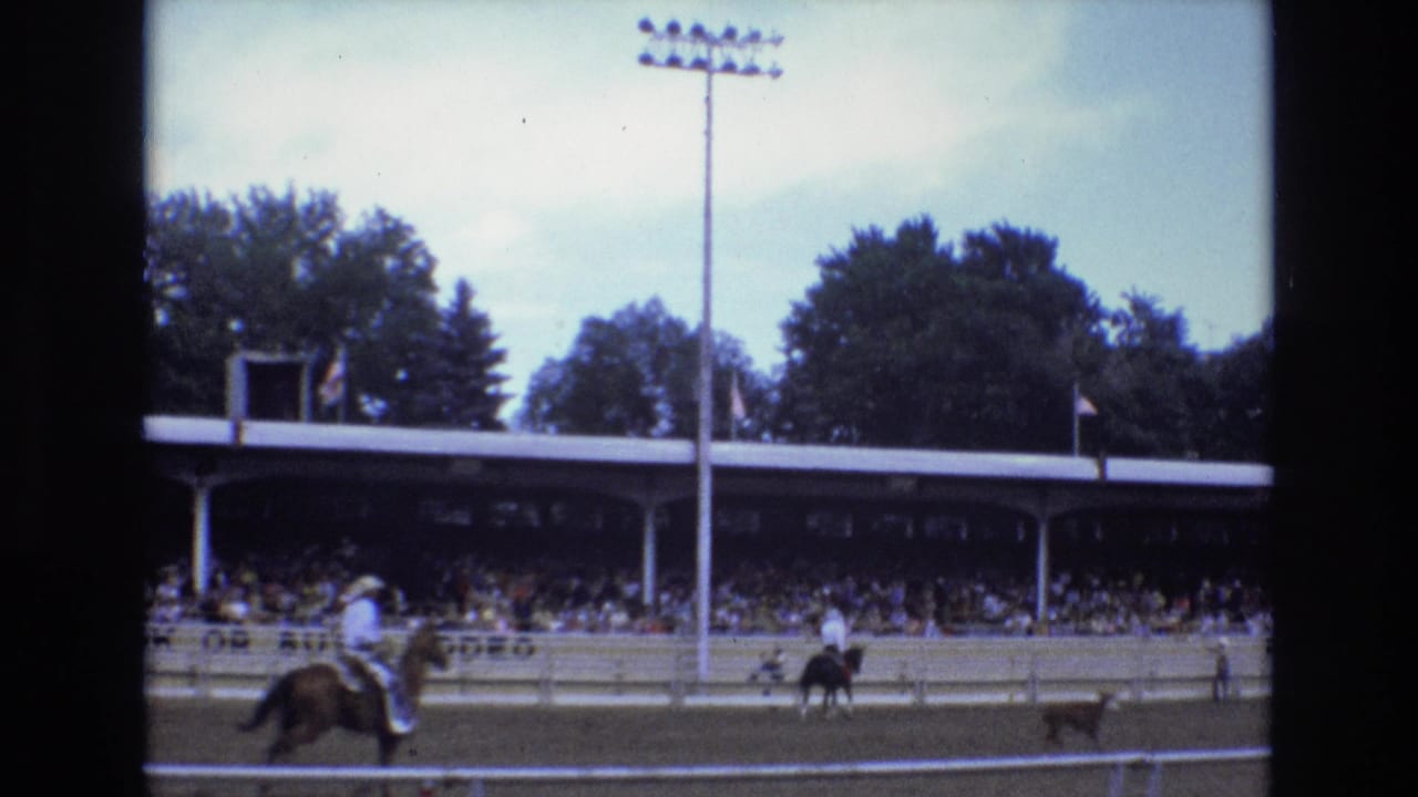 A cowboy in a light shirt and hat rides after a calf during a Colorado Springs rodeo, with a large crowd seated under the covered grandstand.
