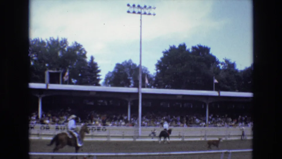 A cowboy in a light shirt and hat rides after a calf during a Colorado Springs rodeo, with a large crowd seated under the covered grandstand.