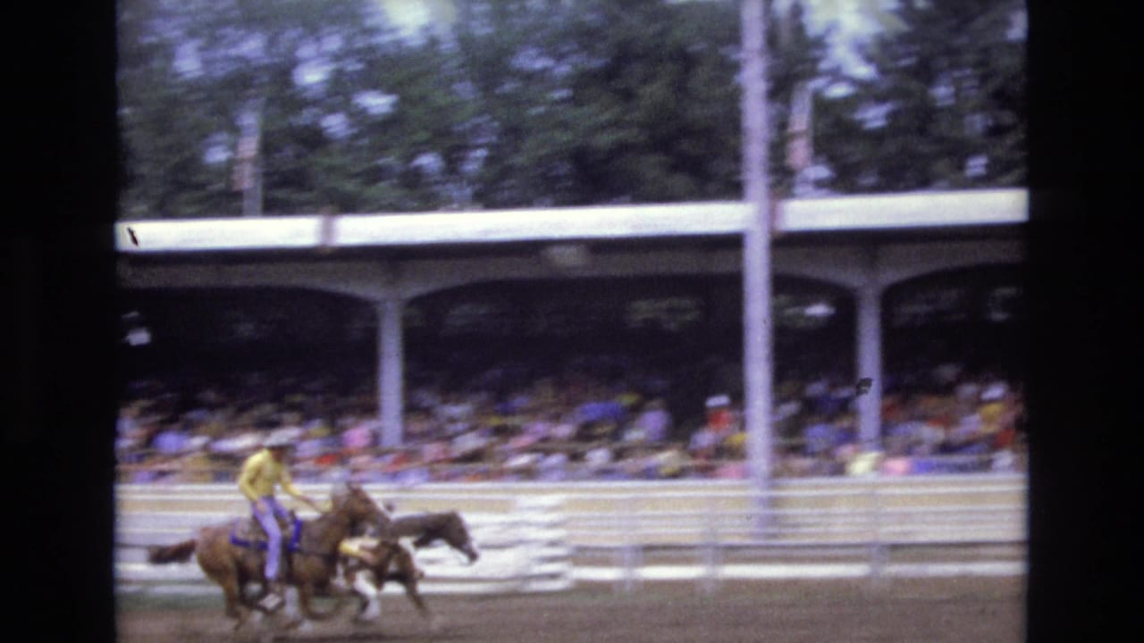 Cowboy in a yellow shirt rides beside livestock in front of the grandstand.