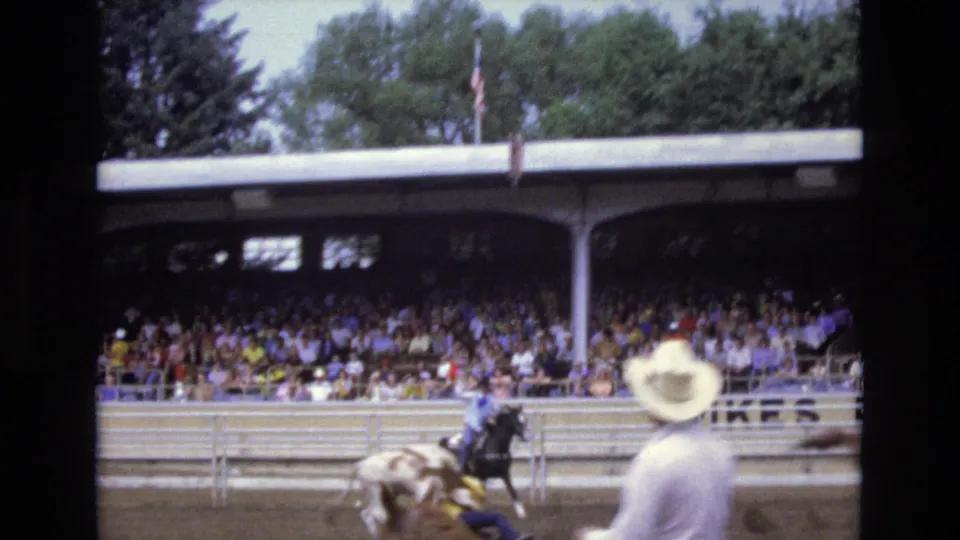 From a spectator viewpoint, a cowboy-hatted viewer looks toward mounted riders and a light-colored steer or calf near the rail at the Colorado Springs rodeo.