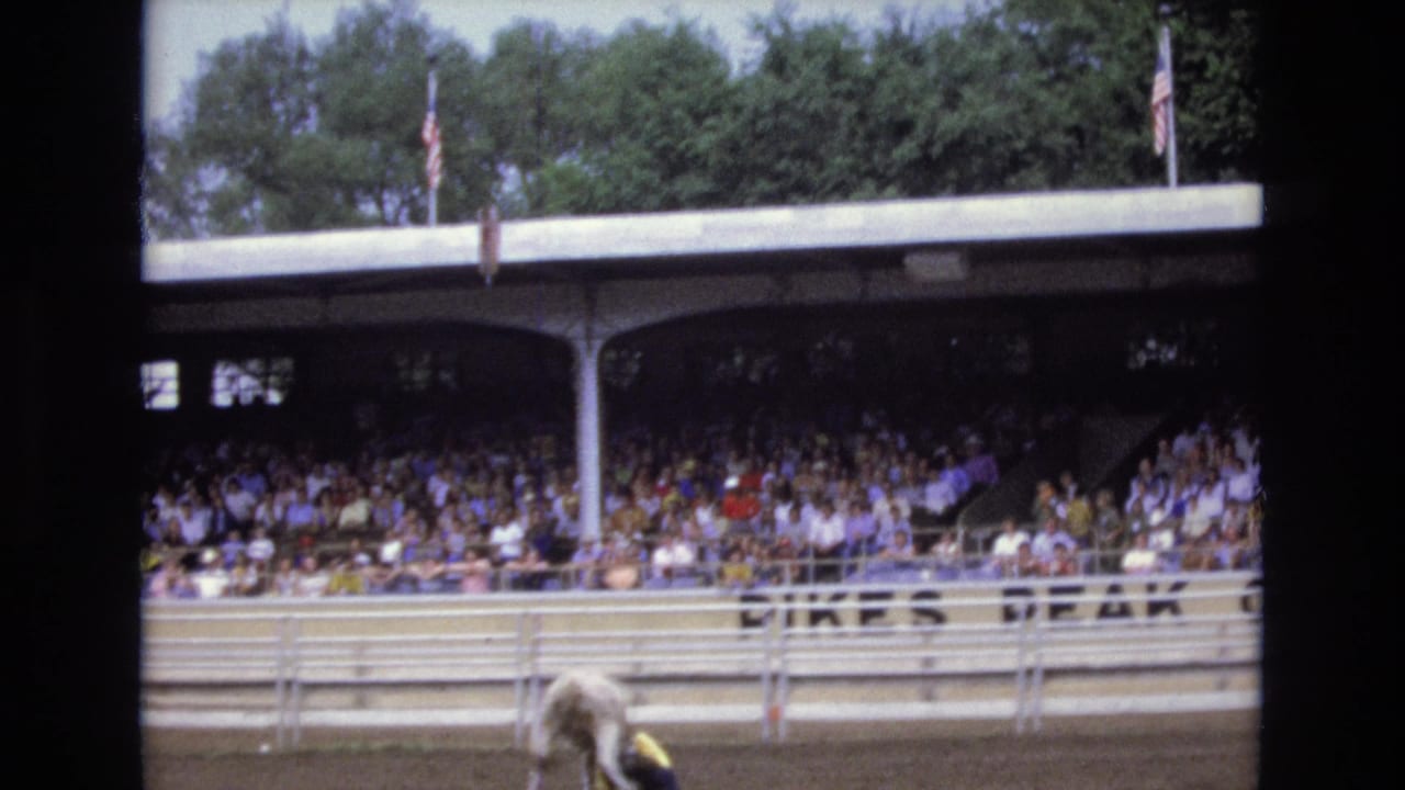 Bull and person low in the arena foreground with a crowded grandstand and flags behind them.