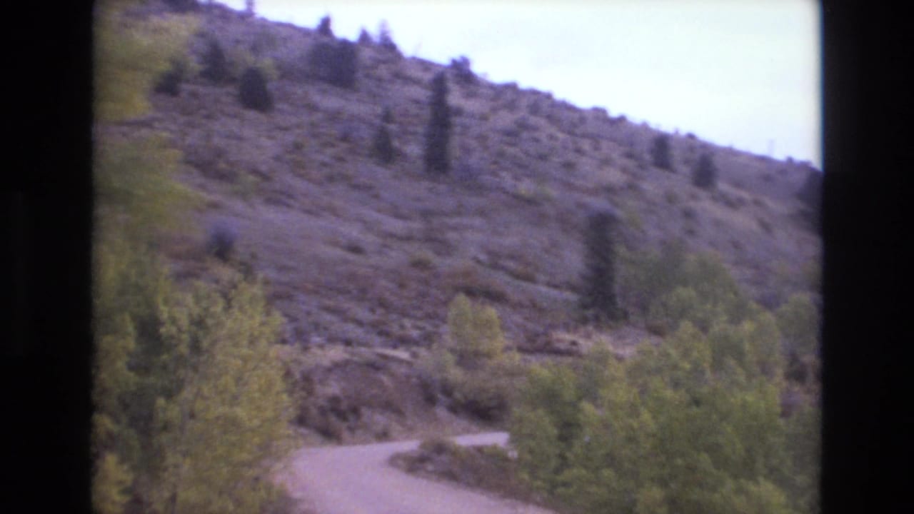 Curving dirt road climbs past shrubs and scattered evergreens on a dry hillside.