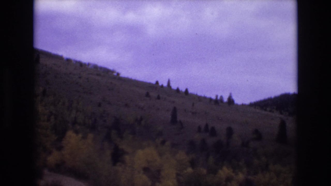 Sloping hillside with scattered trees and a cloudy sky, framed by dark film edges.