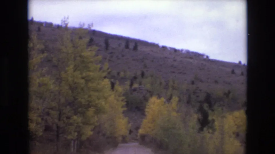 1973 Colorado Springs 8mm frame with yellow-green foreground trees, a sloping hillside, scattered evergreens, and soft film grain.