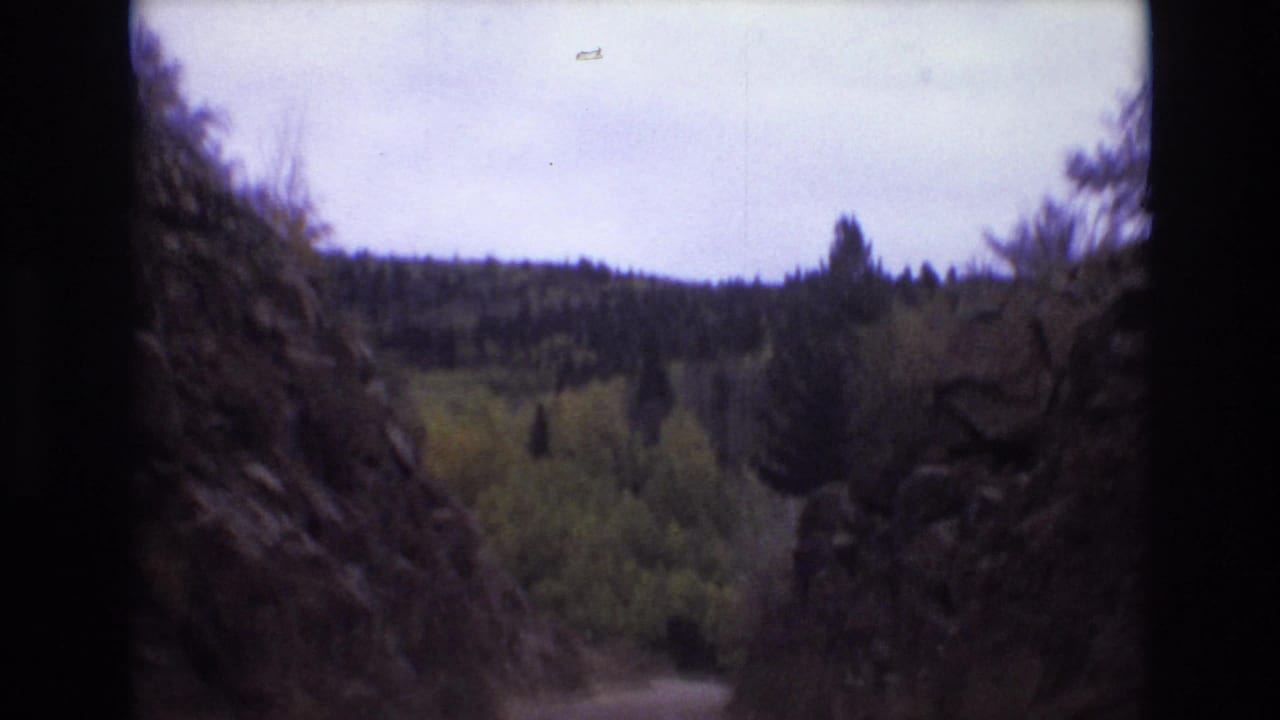 Colorado Springs 1973 travel frame looking ahead through a narrow rocky pass with evergreen trees, yellow-green foliage, and a low wooded ridge beyond.