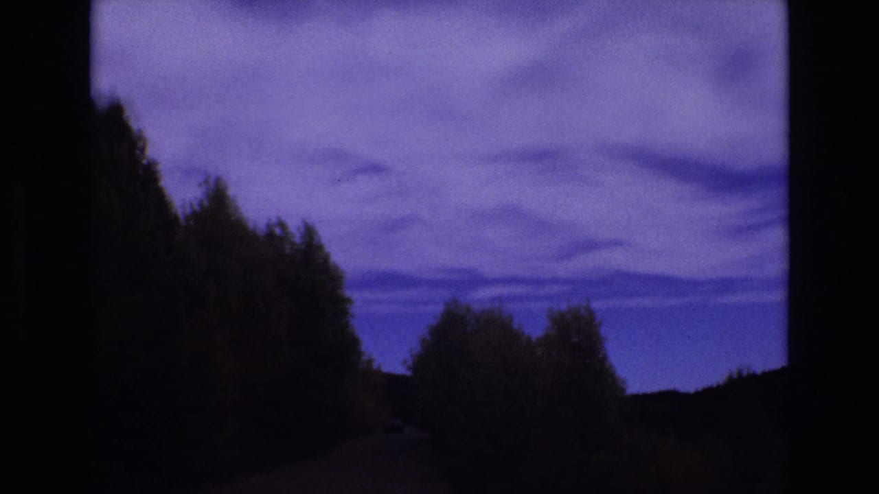 Tree-lined road receding into darkness beneath a purple-blue cloudy sky.