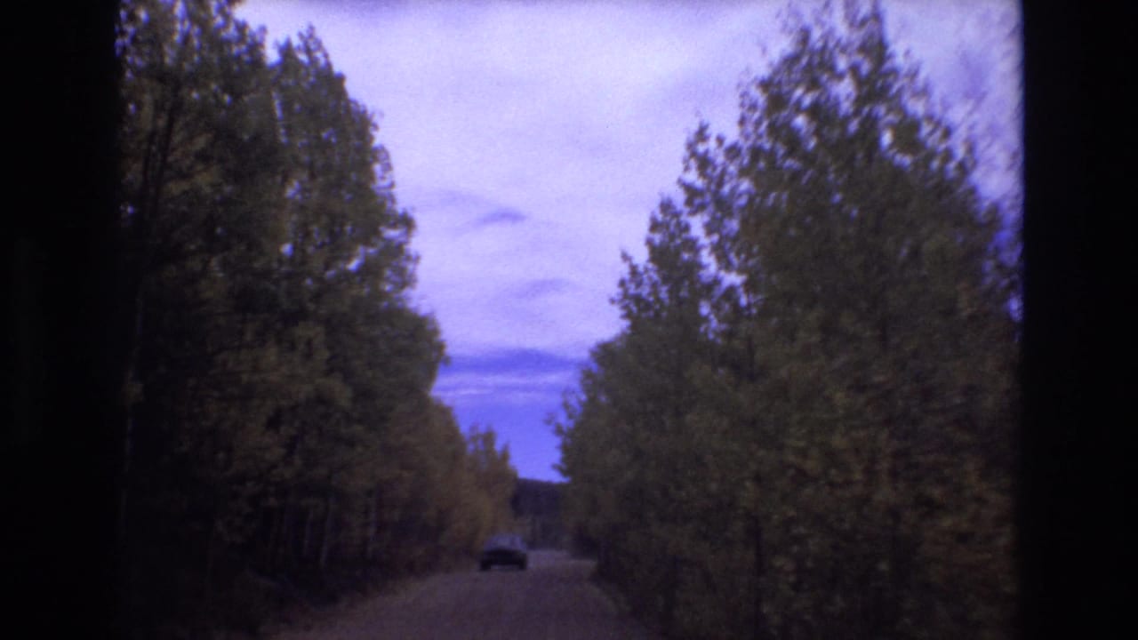 1973 8mm Colorado Springs travel footage showing a narrow dirt road between tall trees, with a dark car ahead and visible film gate borders.
