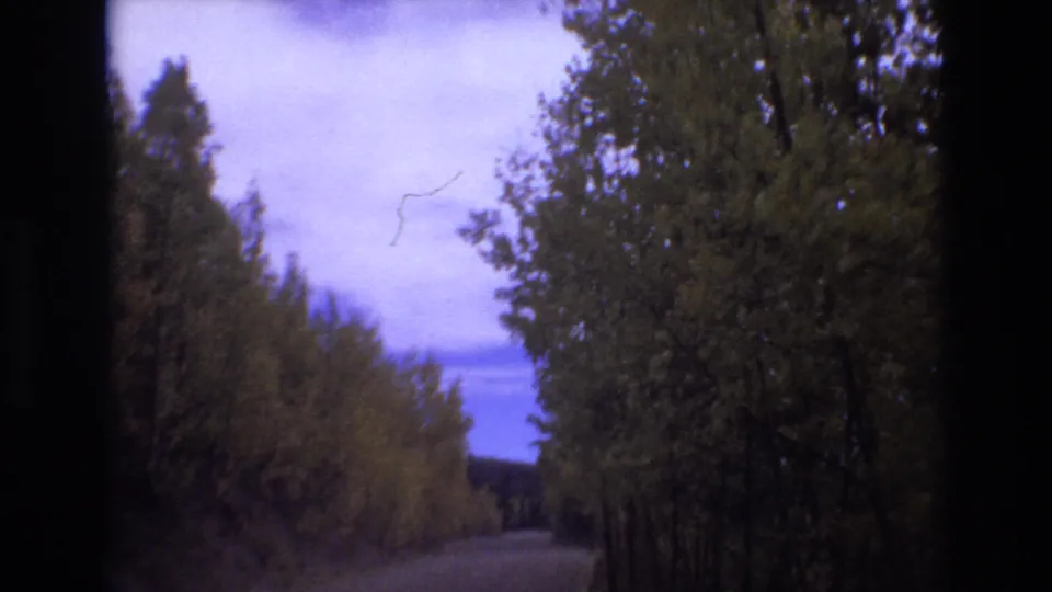 A passenger-view 8mm frame of the wooded Colorado Springs road as it bends ahead, with thick trees, purple-blue sky, and no people visible.