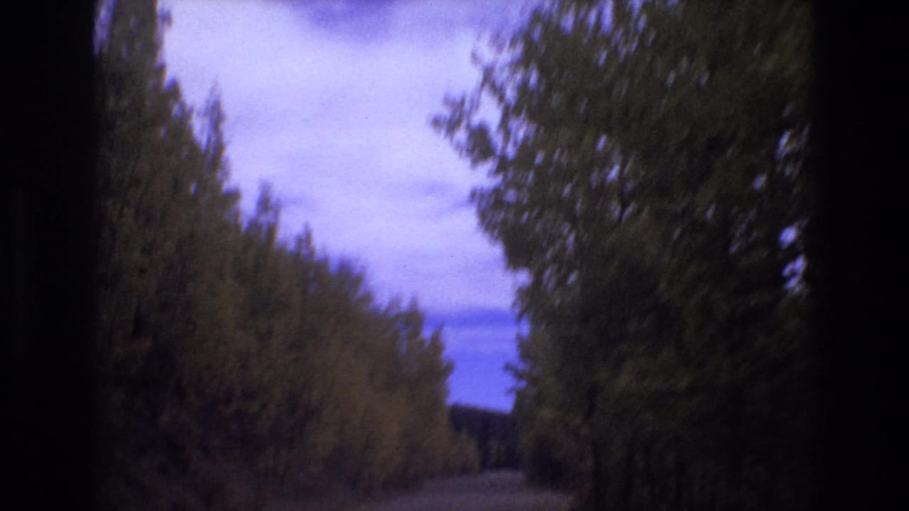 1973 Colorado Springs 8mm home-movie frame showing dark roadside trees and a soft, clouded blue sky from a moving travel perspective.