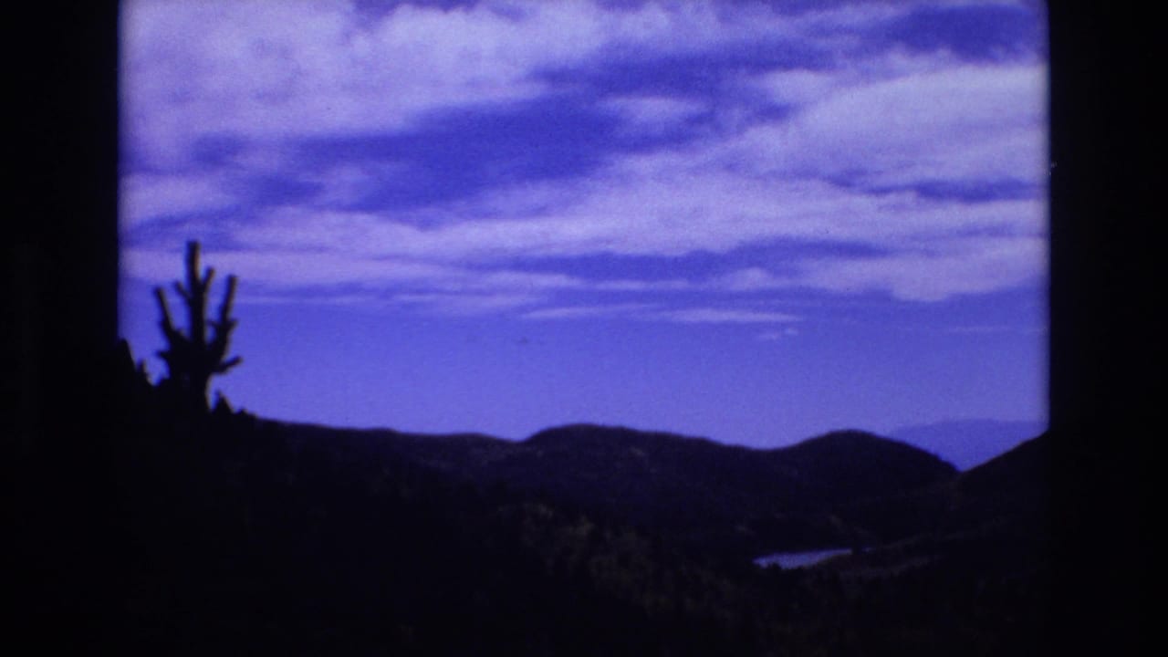 Silhouetted plant form against mountains and a clouded blue sky.