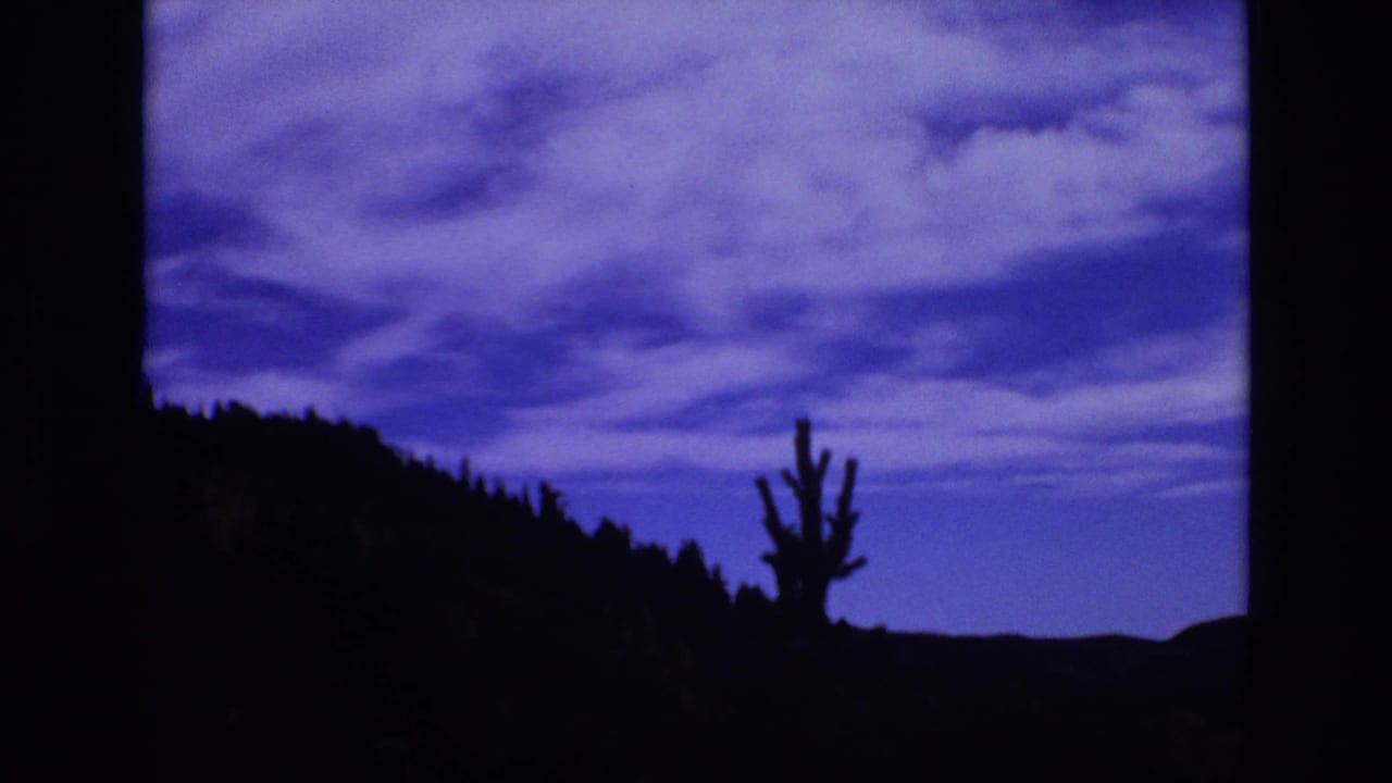 1973 8mm home-movie frame from Colorado Springs showing a dark wooded hillside and lone tree silhouette under a blue-purple clouded sky.