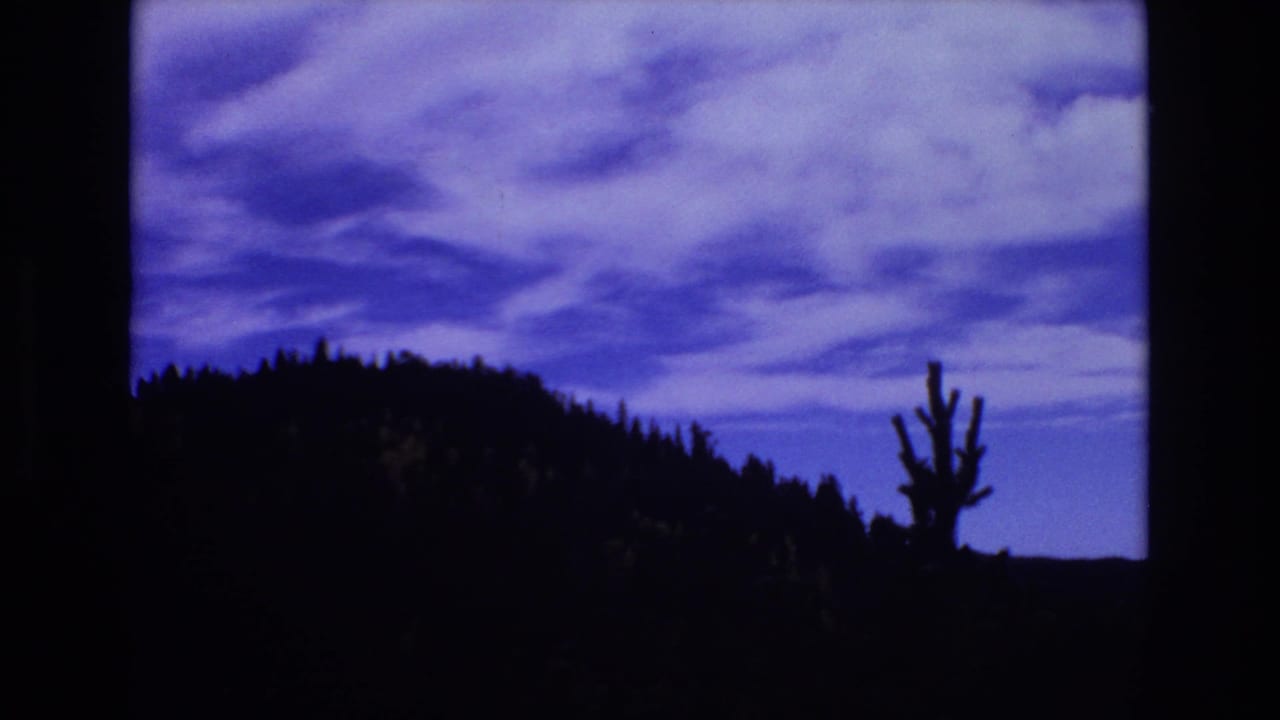 Forested hill and upright tree silhouette below a cloud-filled blue sky.