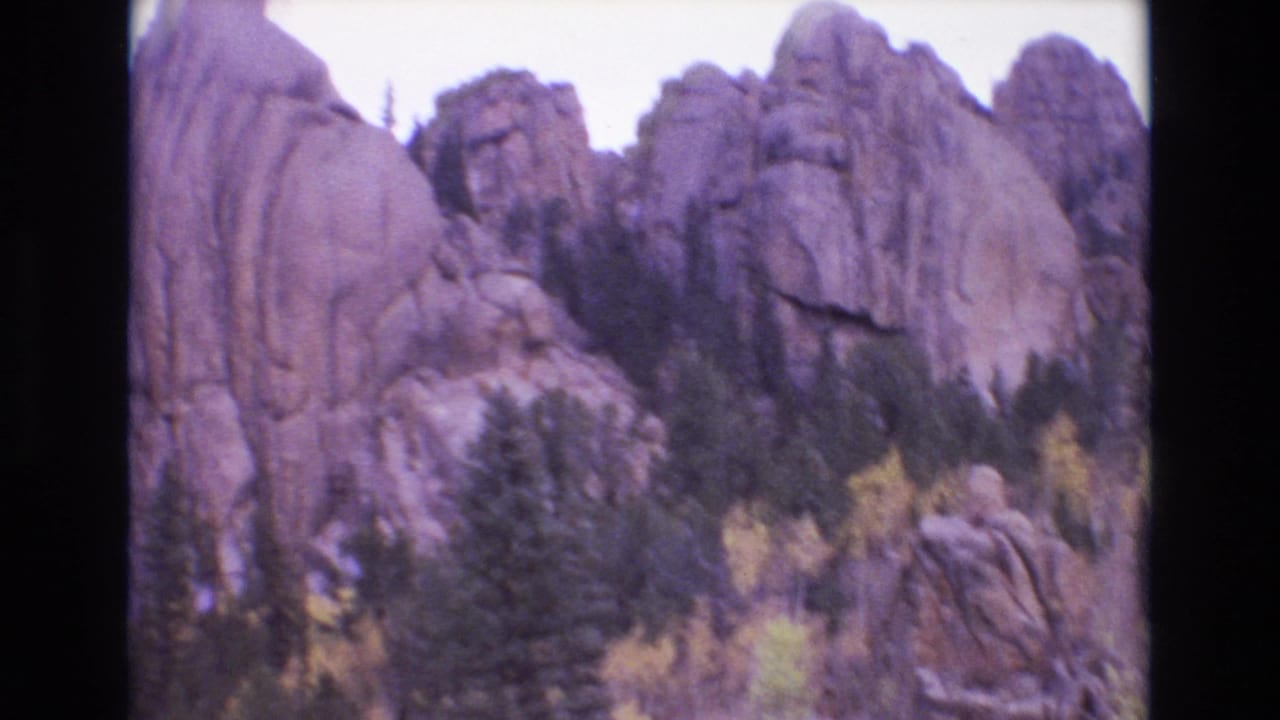 Rocky hillside with evergreen trees and pale sky.