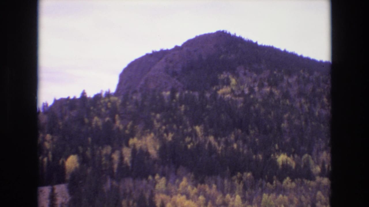 Forested rounded mountain peak with patches of yellow foliage.