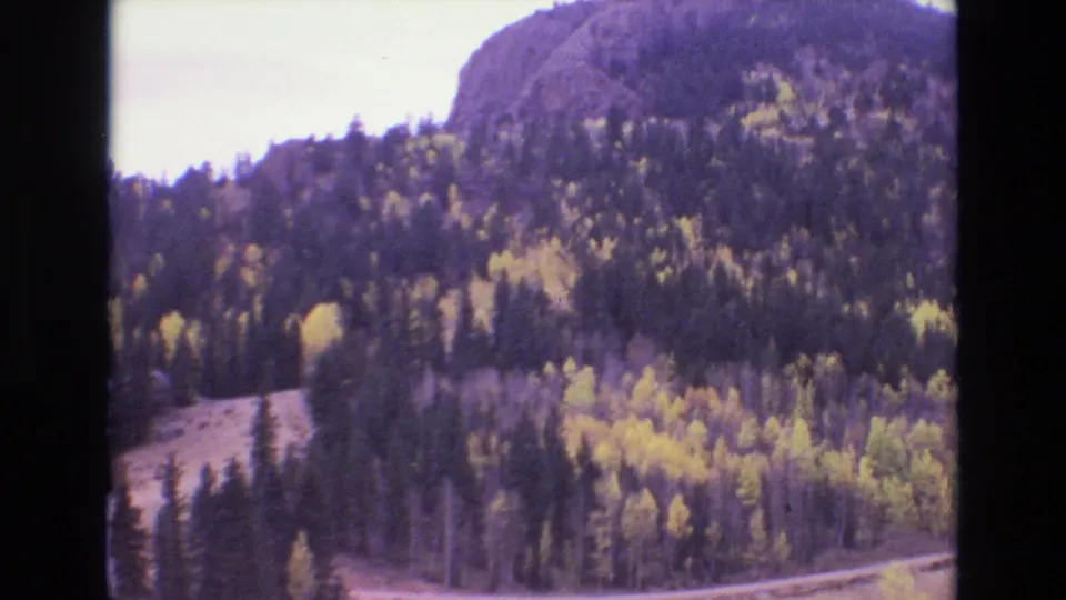 1973 Colorado Springs 8mm frame showing a tree-covered mountainside with yellow autumn foliage, dark evergreens, open ground, and a road near the base.