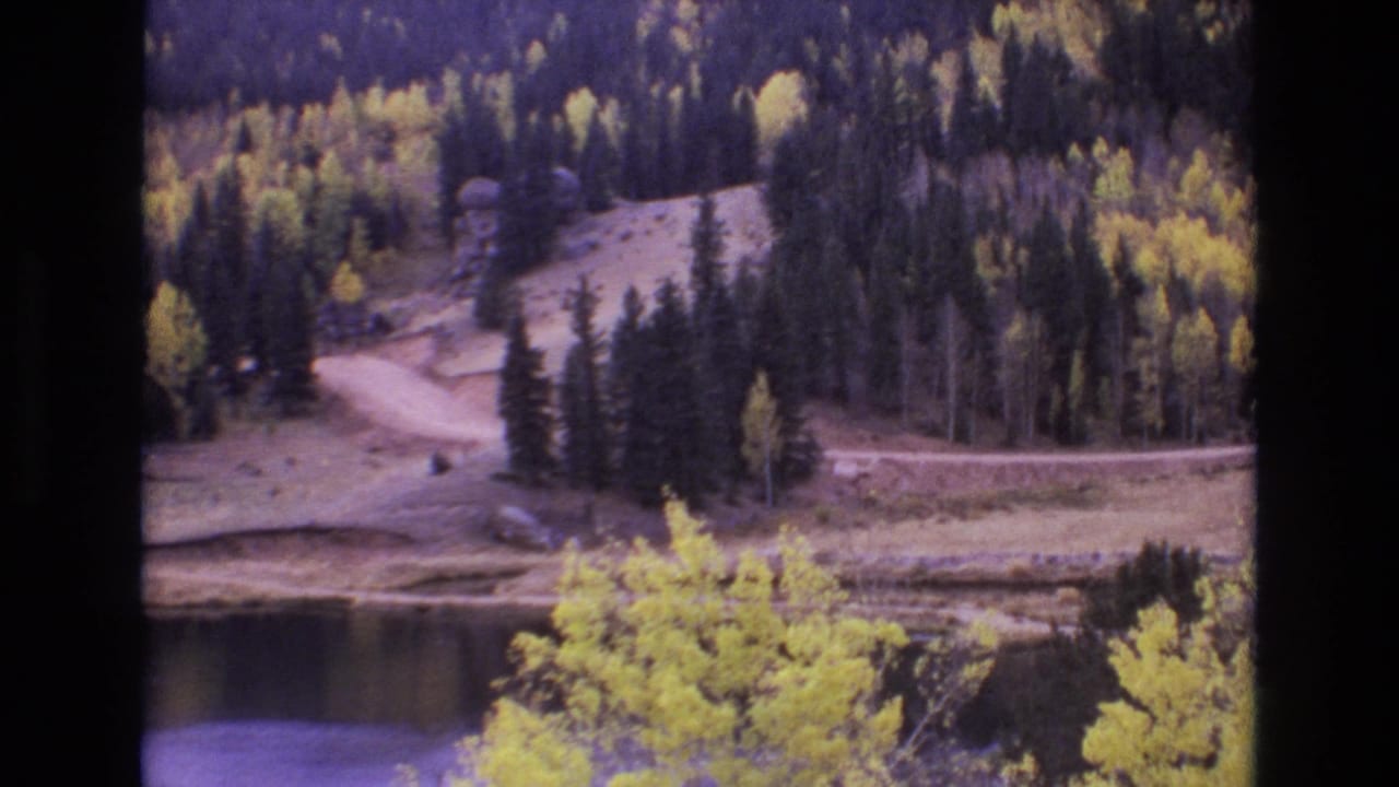 Forested hillside with autumn aspens, a dirt road, and a lake shoreline.