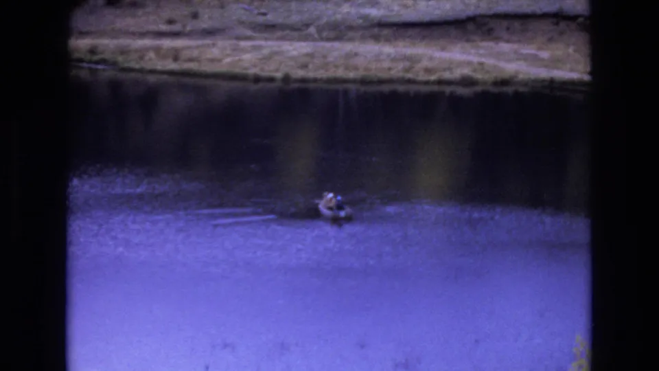 Small boat or skiff floating on a calm lake in 1973 Colorado Springs home-movie footage, with ripples spreading across blue-tinted water near a shadowed bank.