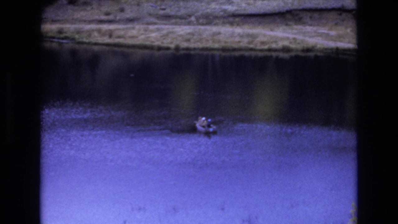 Small boat on rippled lake water below a shadowed bank.