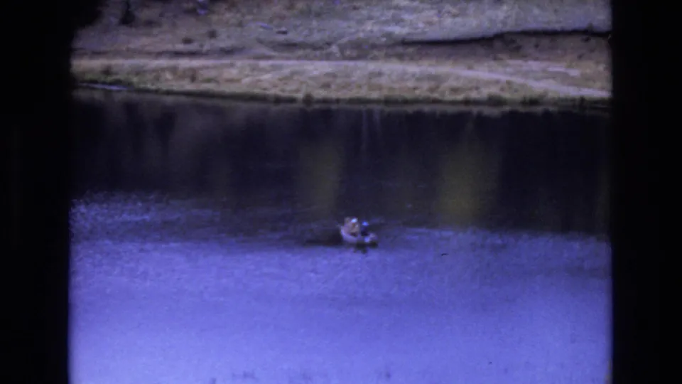 Small boat floating on blue-shifted lake water in 1973 Colorado Springs footage, framed by a rough shoreline and soft home-movie grain.