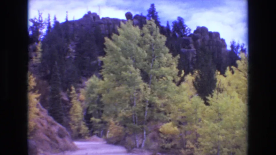 1973 8mm Colorado Springs footage with wind-blown roadside trees, a pale dirt road, evergreen forest, and rocky hillside in the background.
