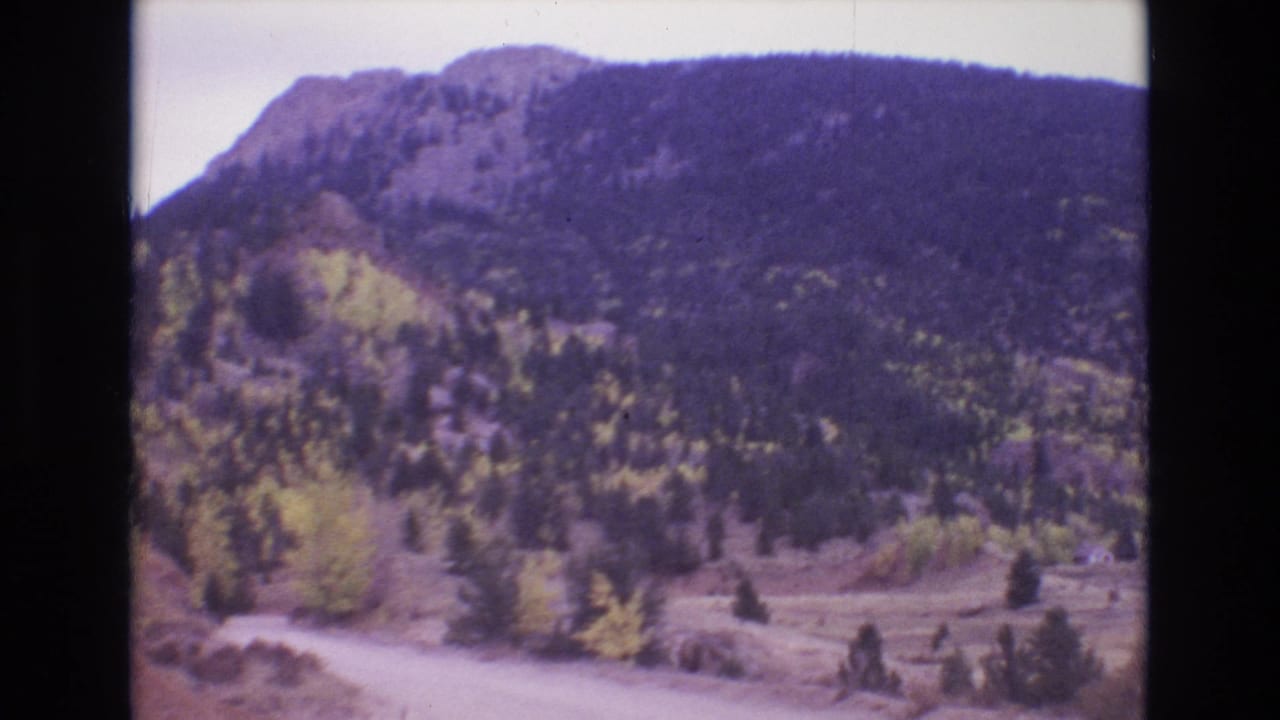 Forested mountainside with a light dirt road crossing the lower slope.
