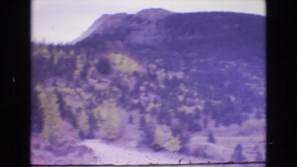Soft 8mm frame from the Colorado Springs-area clip showing a wooded hillside, pale road edge, yellow trees, and strong purple-green color shift from the film scan.