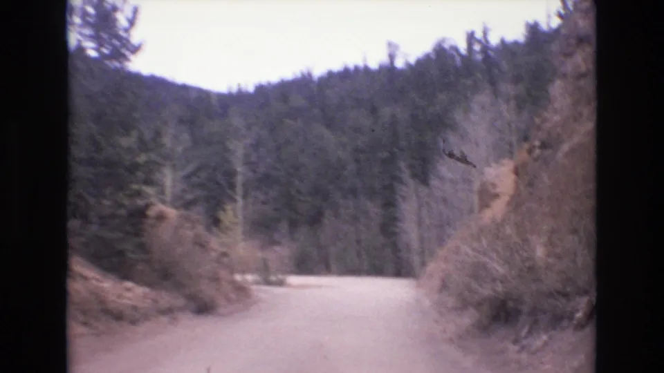 1973 Colorado Springs 8mm frame showing the dirt road opening toward dense pine forest after passing rocky canyon walls.