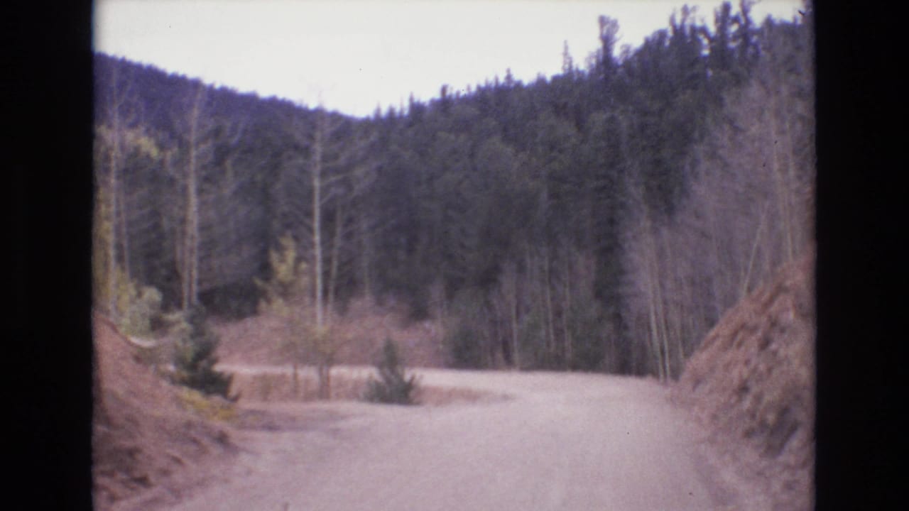 Unpaved road bends right between trees and exposed rocky hillsides.