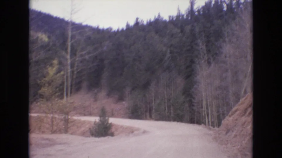 1973 Colorado Springs 8mm frame from a moving vehicle, looking along a dirt mountain road bordered by trees, brush, and exposed earth.