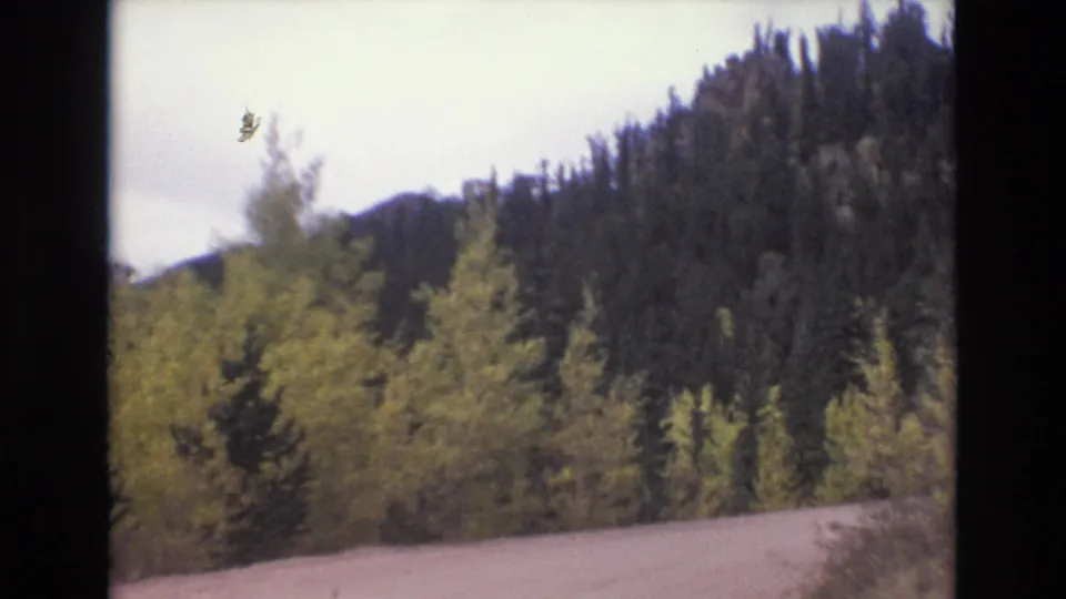 Soft 8mm frame from Colorado Springs in 1973 showing a roadside edge passing below mixed forest on a sloped mountain hillside.