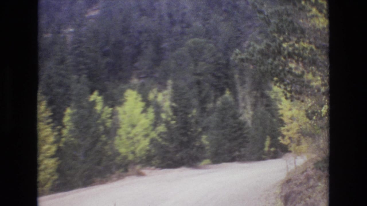 Unpaved road passing dense evergreen trees and bright hillside foliage.