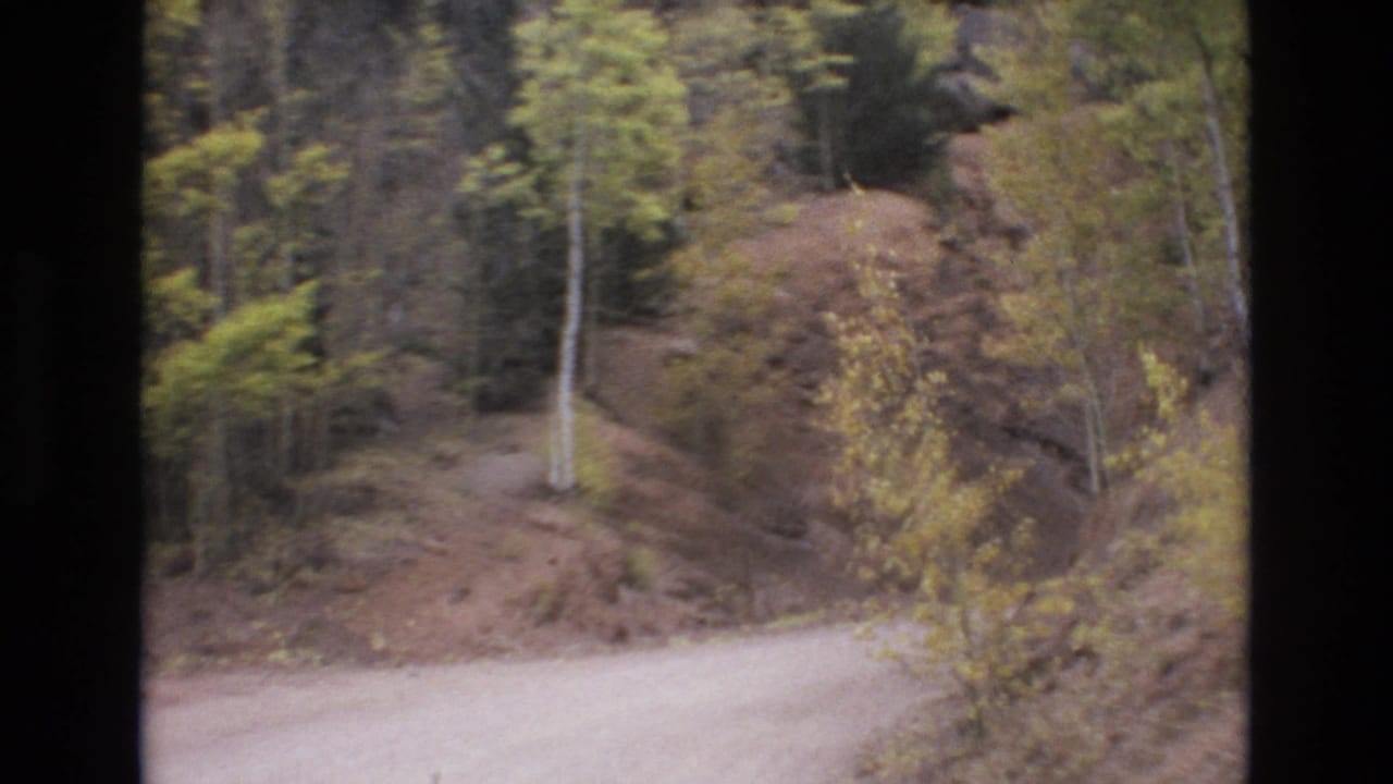 Dirt road curving beside wooded rock slopes with trees and brush.