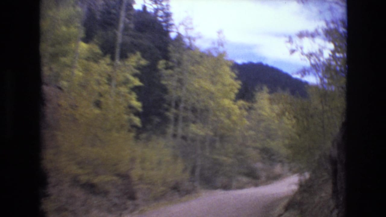 Curving dirt road beside autumn trees and forested hills.