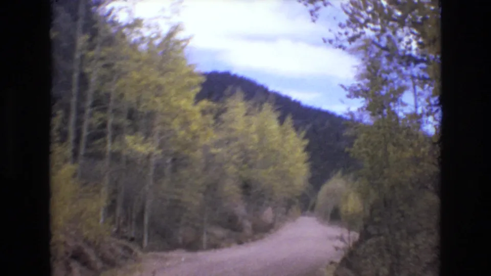 1973 8mm home-movie frame showing a dirt mountain road bordered by autumn foliage and slender trees, with a dark hill rising beyond the road.