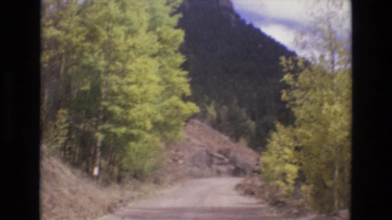 Curving dirt road beside trees and a rocky slope in a mountain forest.