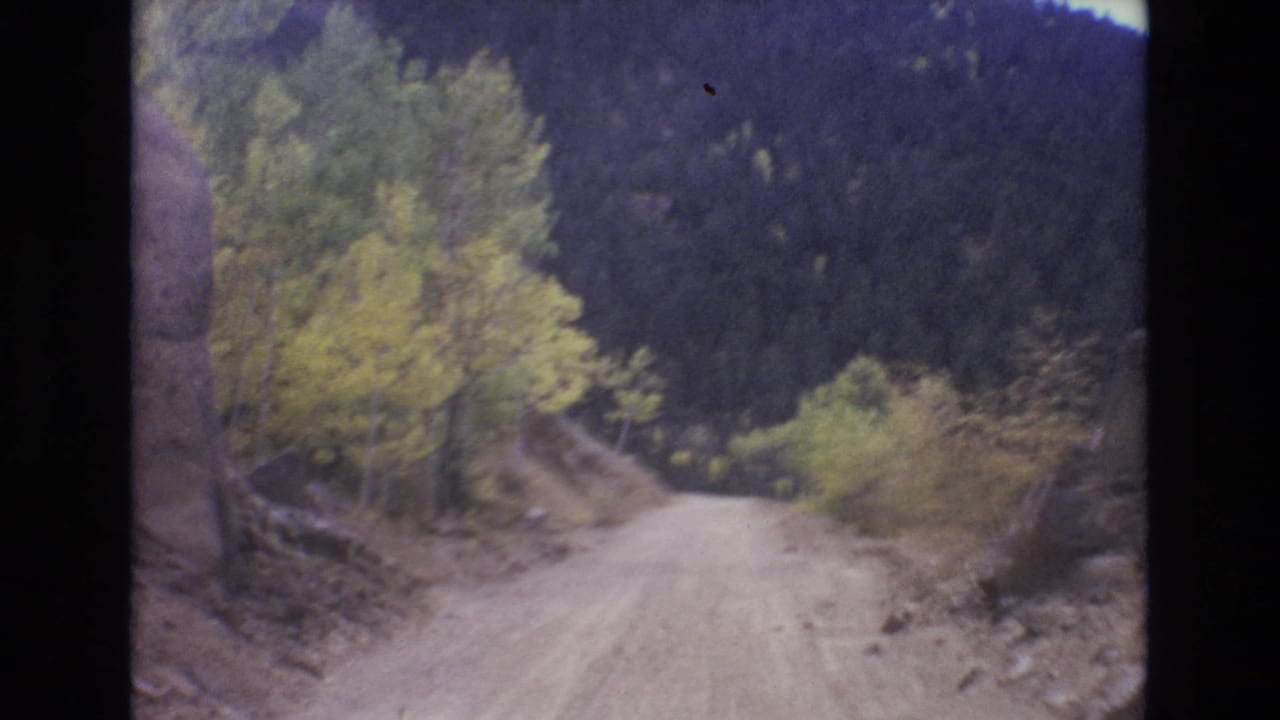 Unpaved road passing trees and rocks below a dark wooded mountain.