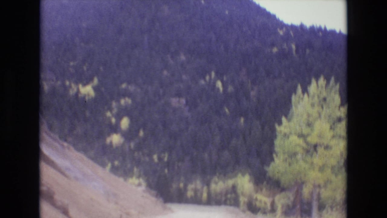 Forested mountainside with a road edge and trees in the foreground.