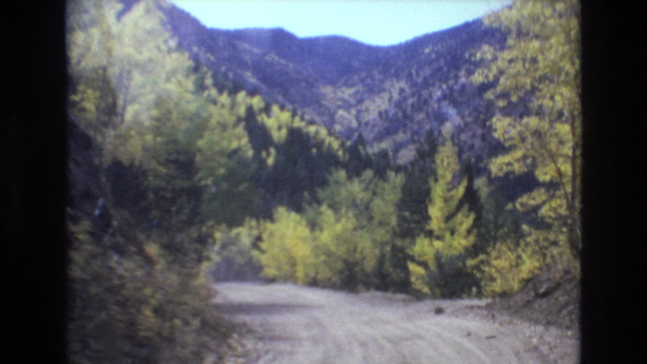 Dirt road curving through trees below mountain slopes.