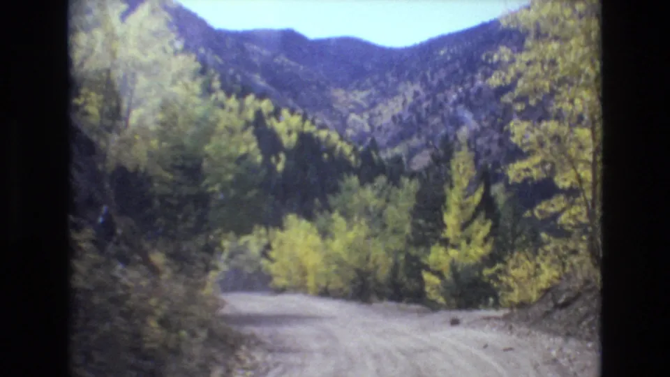 A forward view along a pale dirt road through wooded mountain terrain near Colorado Springs, with yellow-green foliage and dark slopes under a bright sky.