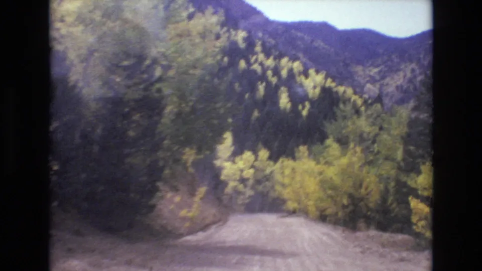 A winding dirt road runs through a wooded Colorado mountain scene, with dense roadside foliage, rugged slopes, and visible 8mm softness and exposure variation.