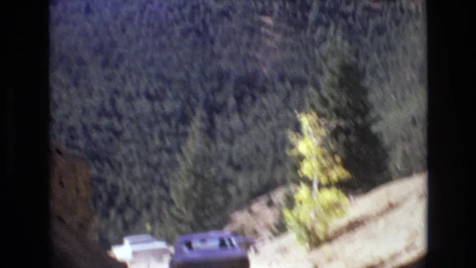 The handheld 8mm view softens as cars move away from the tunnel area along a mountain road bordered by dense evergreens and a yellow autumn tree.