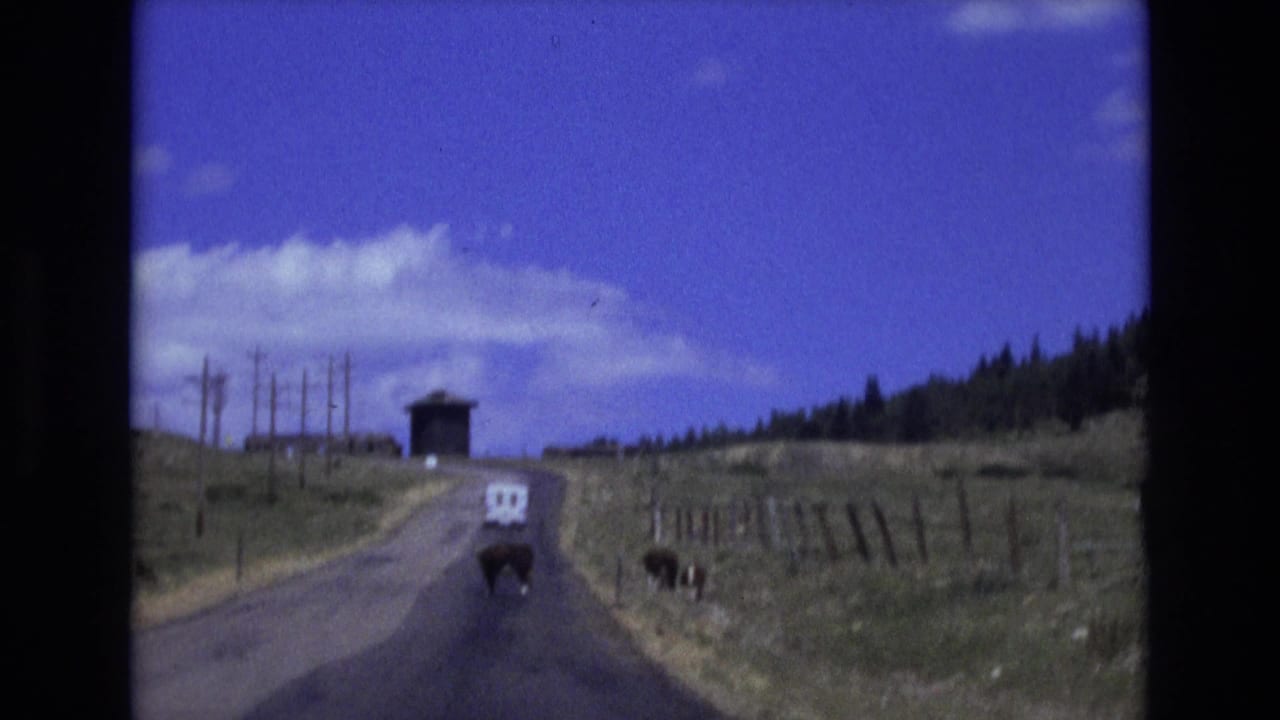 1973 8mm home-movie frame near Colorado Springs showing a paved rural road, roadside cattle, fencing, utility poles, and a distant light-colored van under a blue sky.