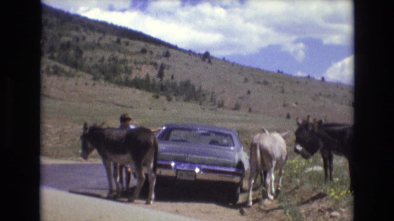 In 1973 Colorado Springs home-movie footage, several donkeys stand near a purple car on a paved roadside below dry hills and a cloudy sky.