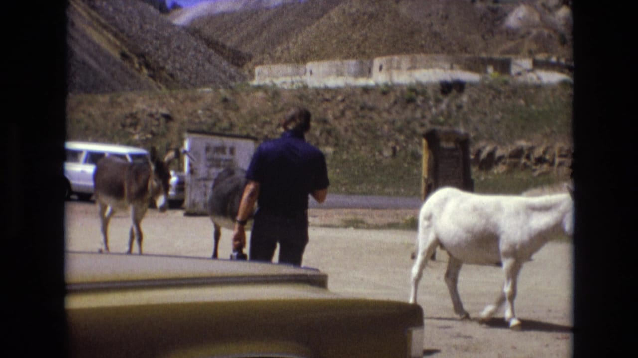 A man in a blue shirt walks near donkeys by a white station wagon and roadside structures.